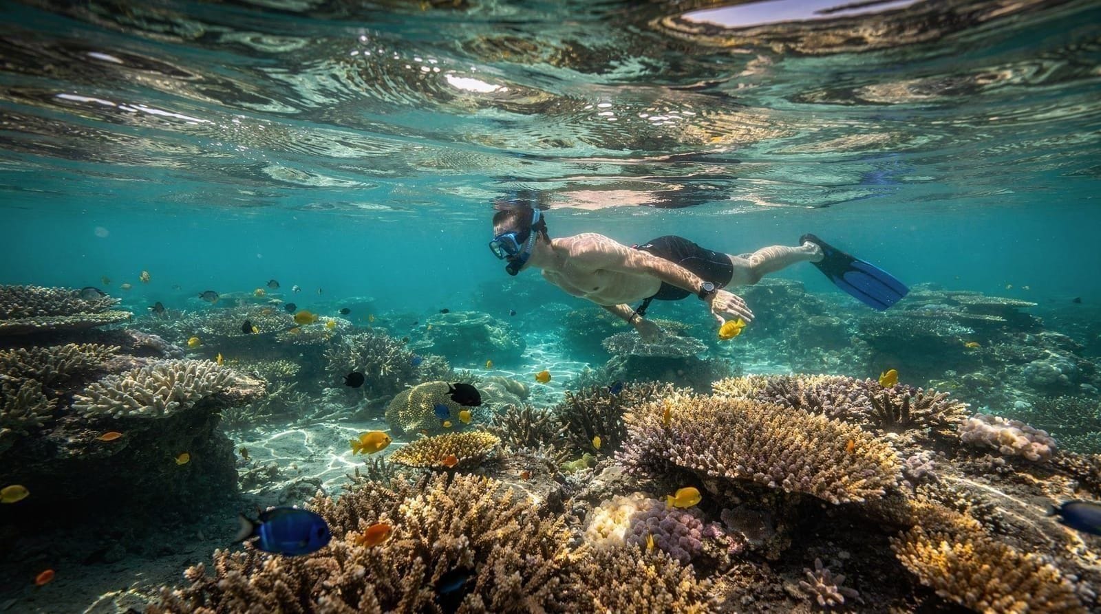 Best snorkeling near Phuket: spots, tips and honest what-to-expect