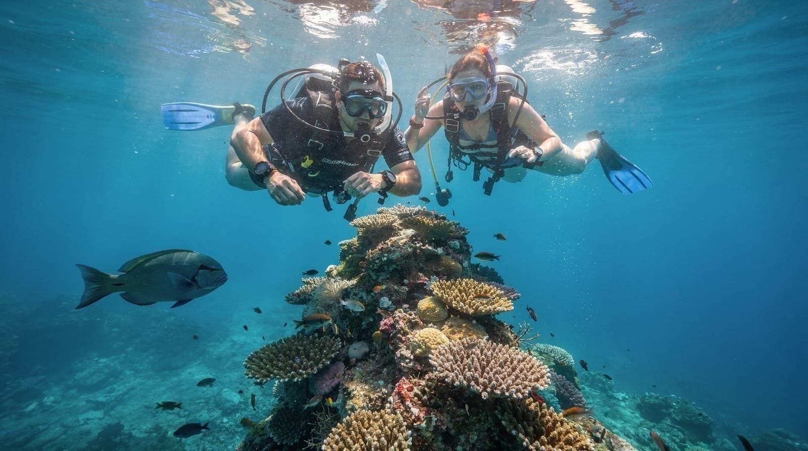 Diving & snorkelling