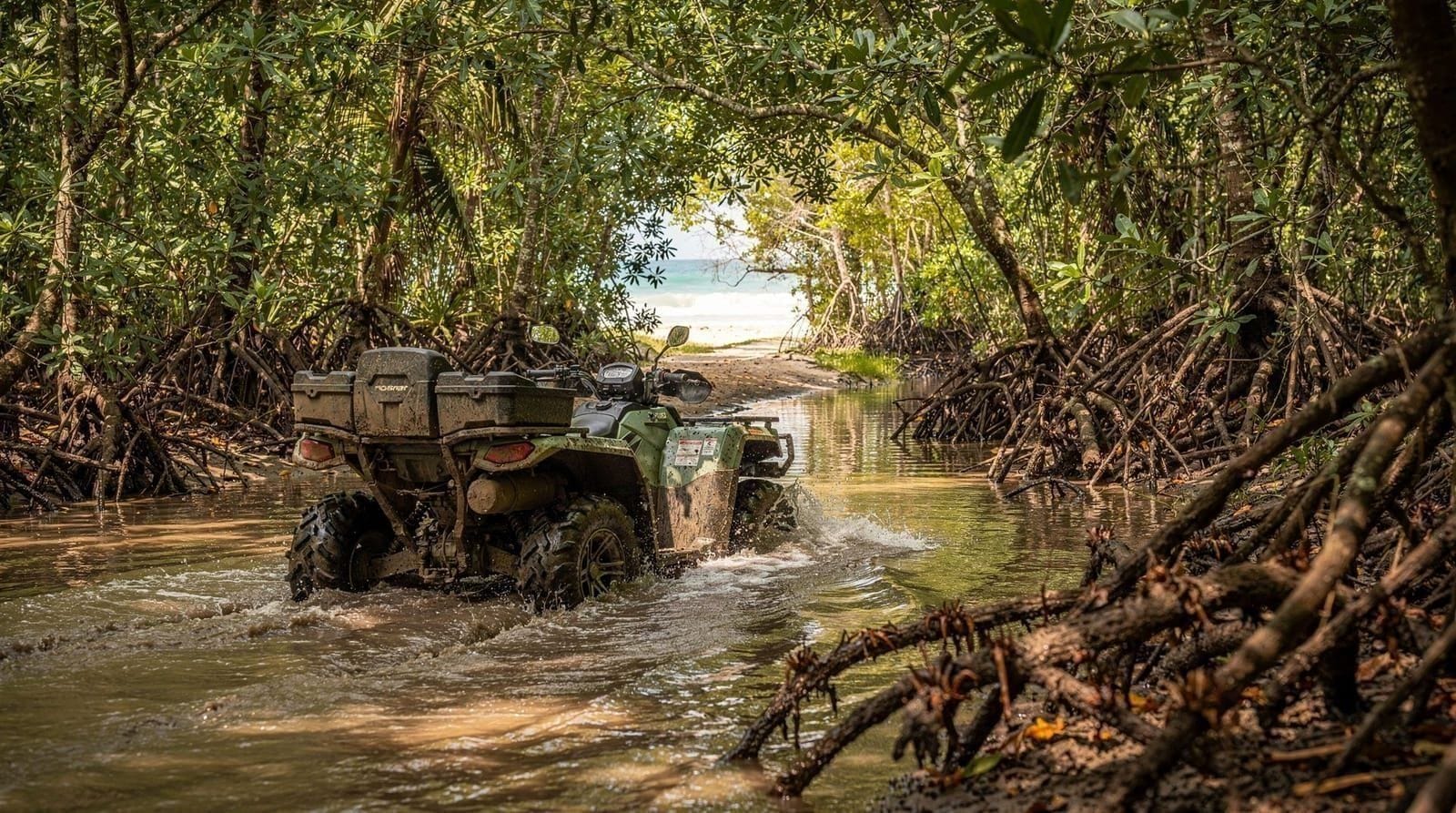 Phuket ATV mangrove jungle hidden beach