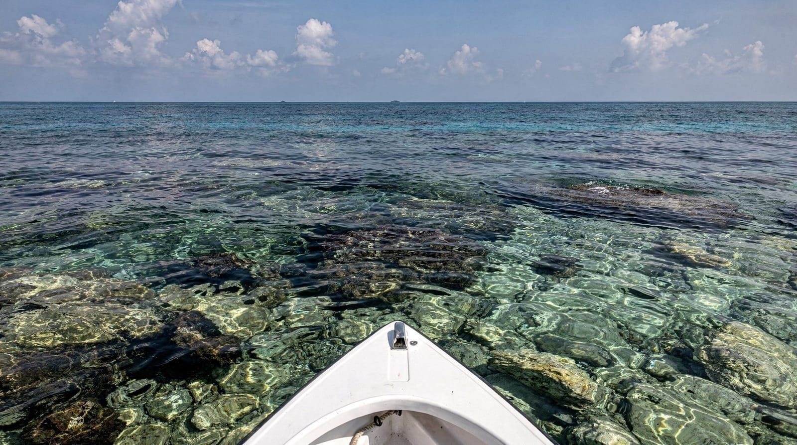 Coral Racha Islands speedboat