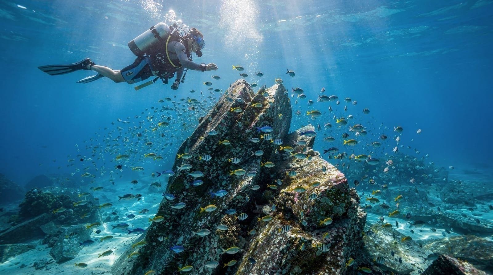 Khao Lak Similan Islands diving trip