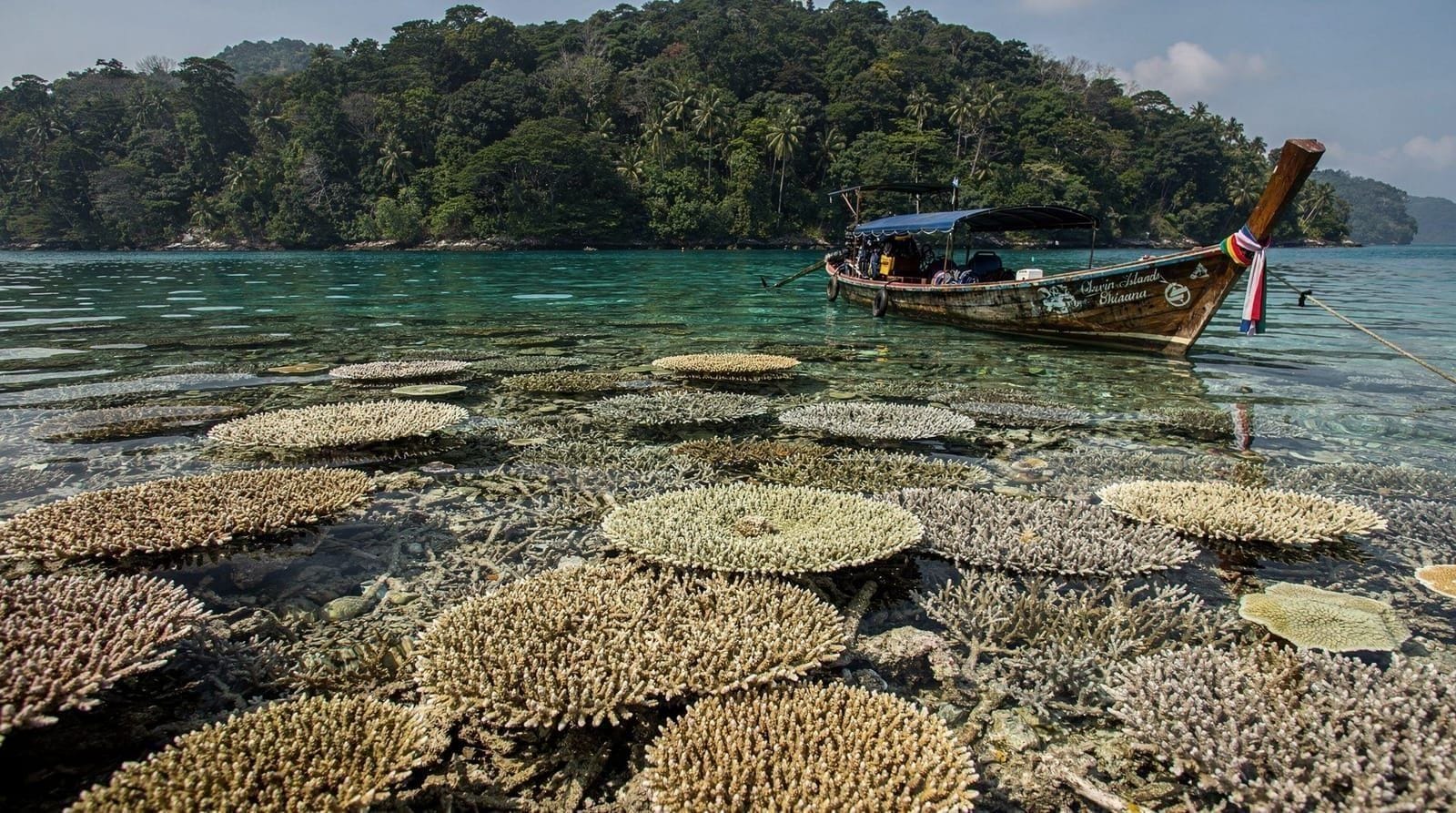 Surin Islands day trip Phuket Khao Lak