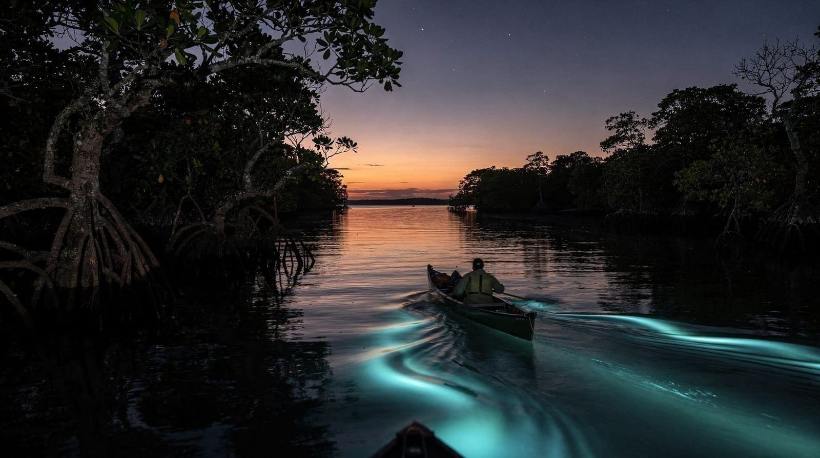 Twilight sea canoe glowing plankton